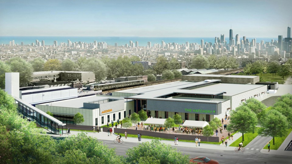 Inside The Hatchery: Chicago’s food incubator is laying a foundation for industry growth
